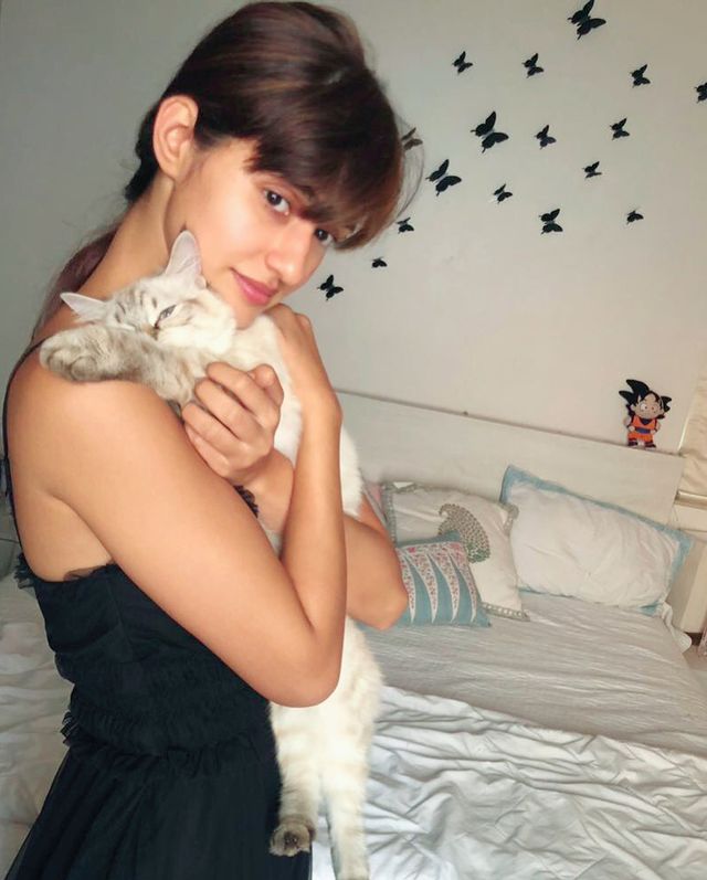 disha patani holding a cat