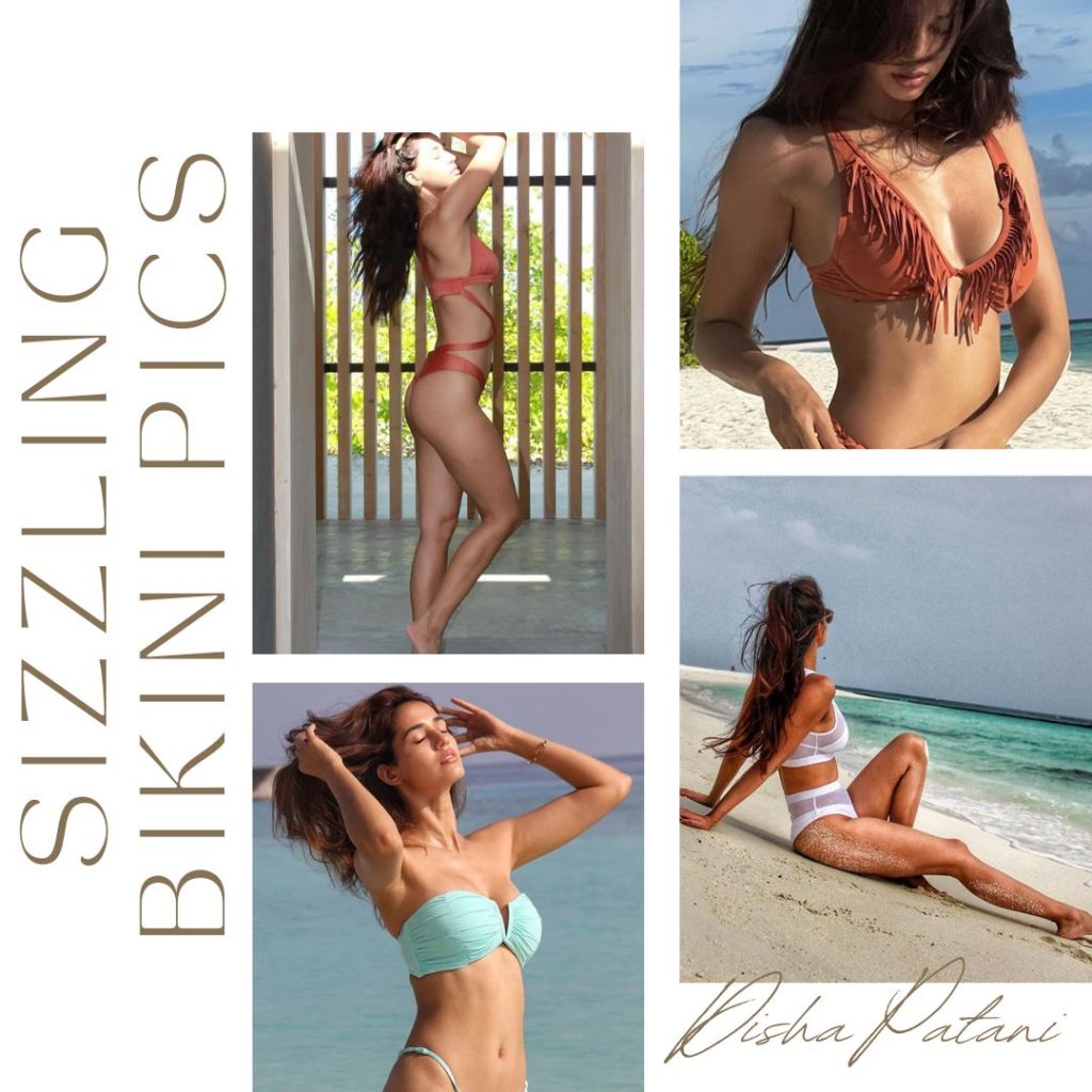 sizzling bikini pics of disha patani